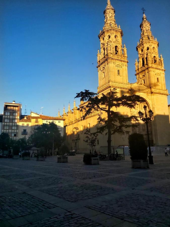 "El Rincon Del Pintor"Enorme Piso A Junto A Laurel Ascensor By Apartamentos Logroño Exteriör bild