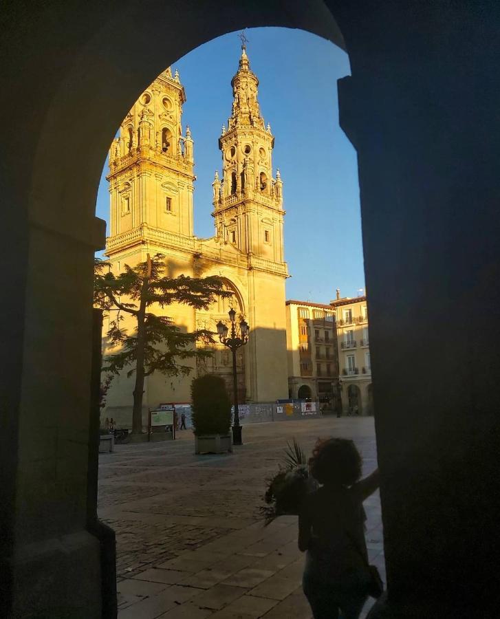 "El Rincon Del Pintor"Enorme Piso A Junto A Laurel Ascensor By Apartamentos Logroño Exteriör bild